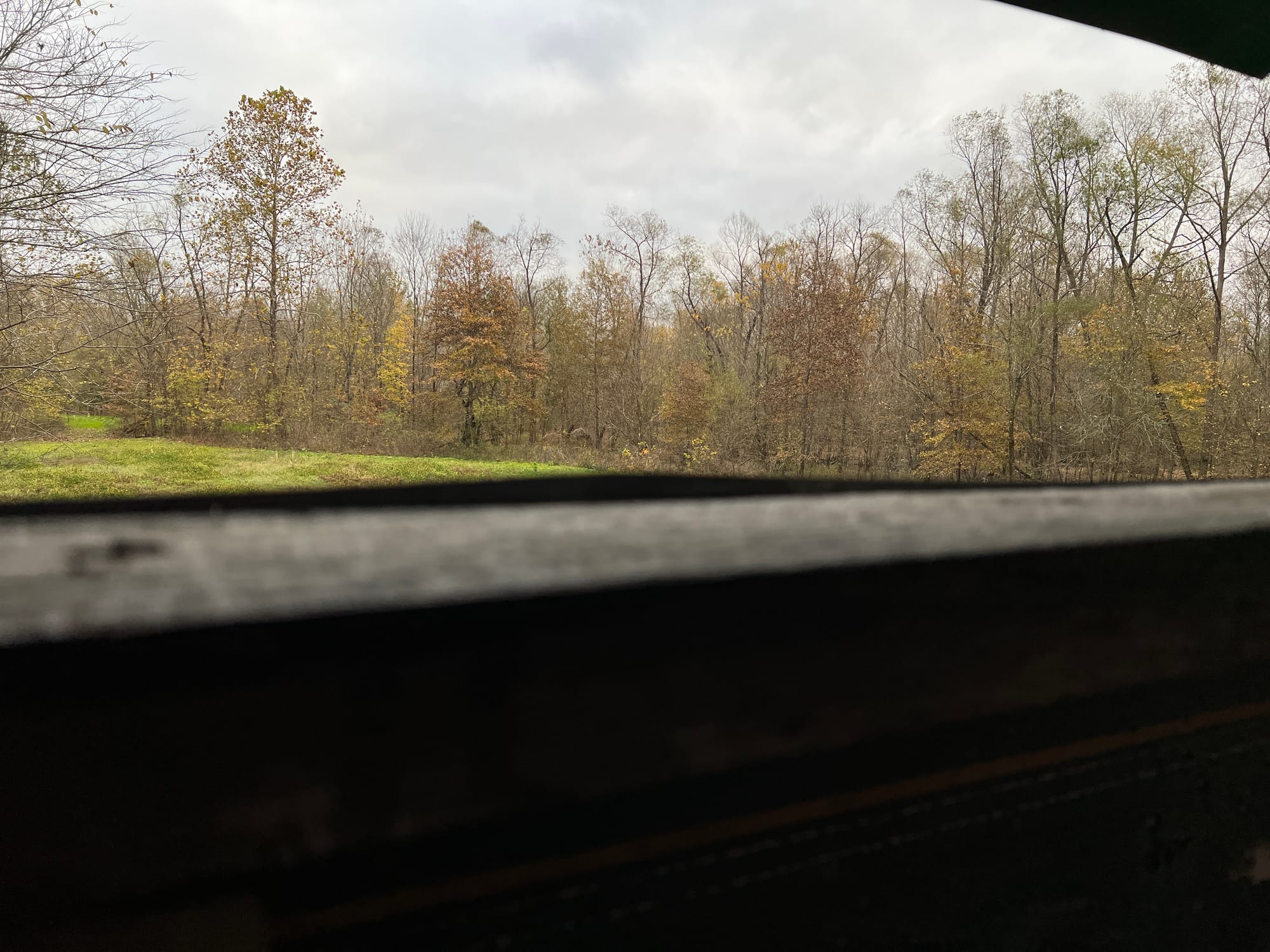 Deer Stand Views.jpeg